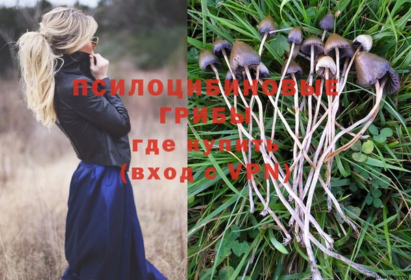 Альфа ПВП Армянск